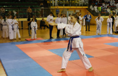 Międzywojewódzkie Mistrzostwa Młodzików w Taekwon-do - powiększ