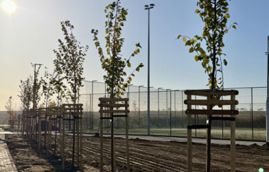 {n_title2}