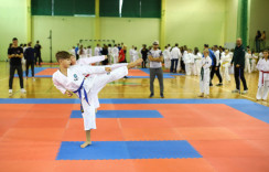 Międzywojewódzkie Mistrzostwa Młodzików w Taekwon-do. - powiększ